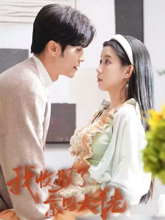 ssd4415-我收服了京圈大佬-闪婚甜妻买一送一(30集)王奕然-李丫丫