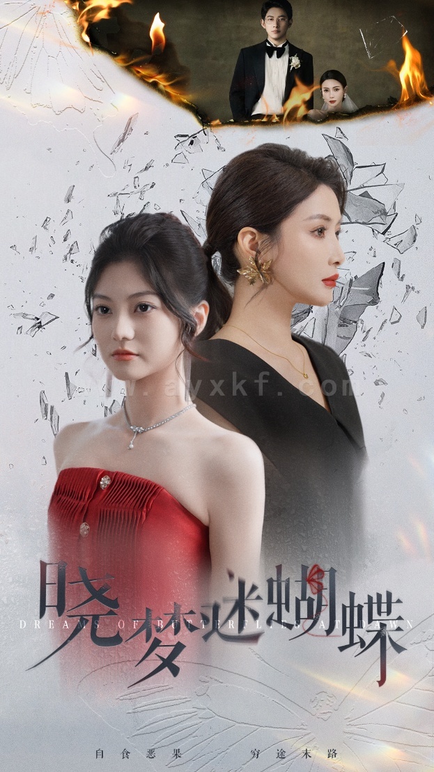 ssd4246-晓梦迷蝴蝶(76集) 最新 图1张