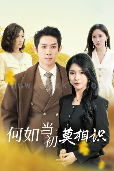 ssd4294-何如当初莫相识(36集)彭羽
