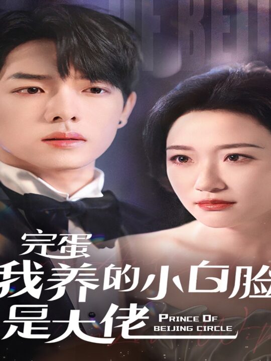 4.京圈太子爷每天都想转正＆完蛋我养的小白脸是大佬（75集）曾辉＆韩雨彤