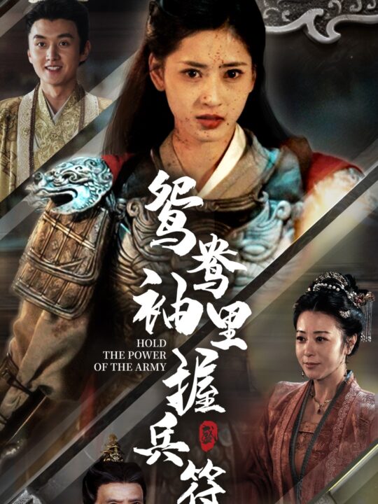 ssd4175-鸳鸯袖里握兵符(88集)