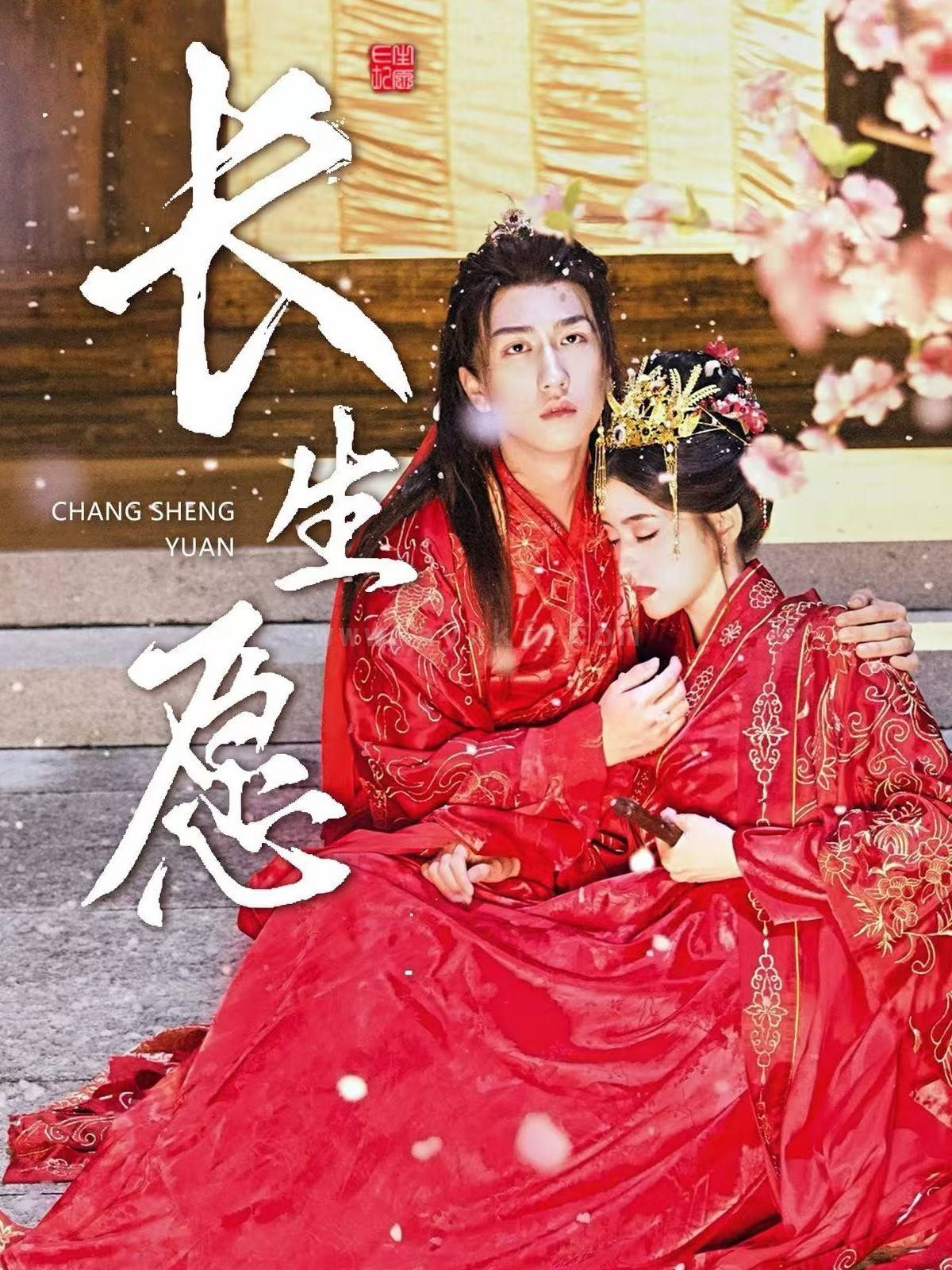 ssd4872-长生愿(80集)李芊乐 最新 图1张