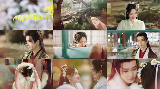 ssd4535-Q-卿卿三思-李菲腾讯