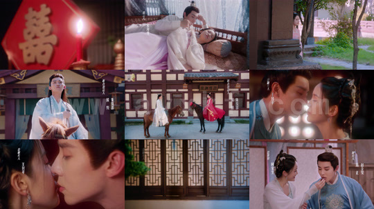 ssd4931-月下心辰