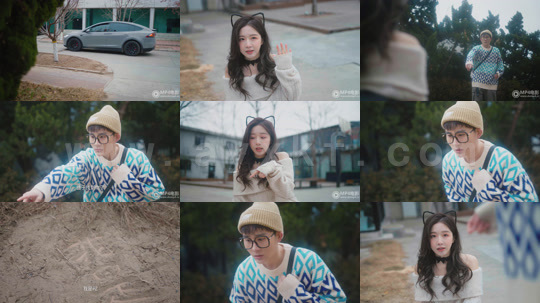 ssd4515-J今天也要努力当只猫