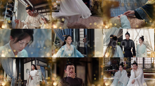 ssd4953-G-娘娘今日不上朝