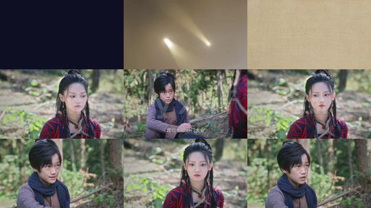 ssd4903-c-瓦舍之彩门令