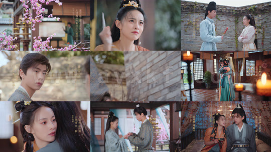 ssd4878-B-白月光拯救计划