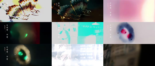 ssd4206-J-见习女探