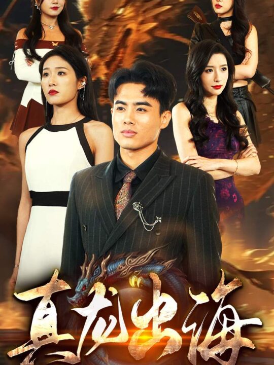 ssd4647-24.真龙出海(80集)宋楠