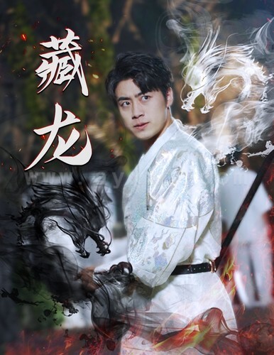 ssd4494-19.藏龙(74集)