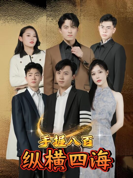 ssd4429-4.手握八百纵横四海(93集)