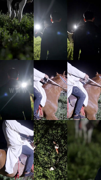 ssd4460-隐市烛龙(90集)