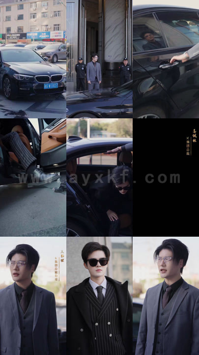 59-萌宝的千层套路(102集) 最新 图1张