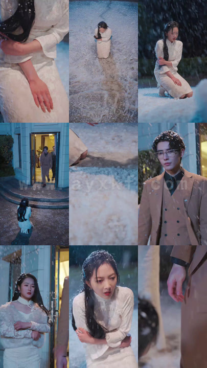 15-贺总的私宠罪妻(100集)