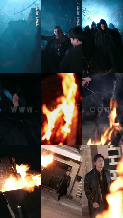 ssd4800-24、无上真龙(100集)