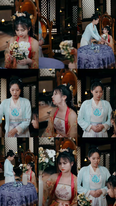 2334-穿越古代当驸马(105集)