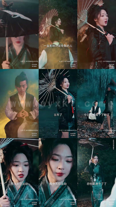 ssd4519-10.狂少下山(81集)