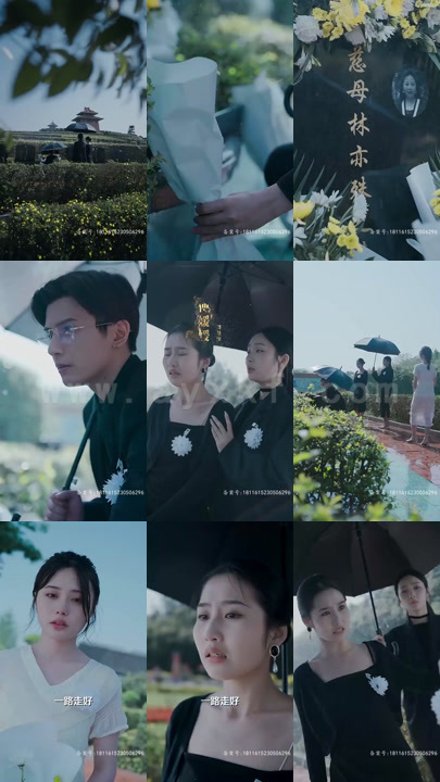 ssd4337-夫人傅总他罪该万死