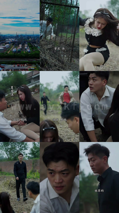 ssd4865-1666、重返1992我要赚它几个亿-重返1992