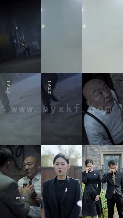 493-都市枭雄(60集)