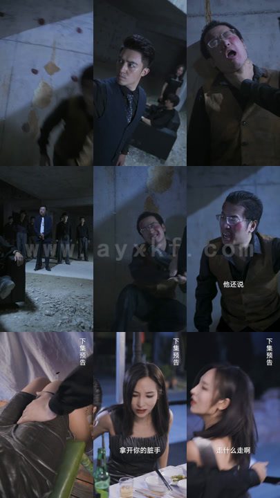 天骄医婿（合集款）