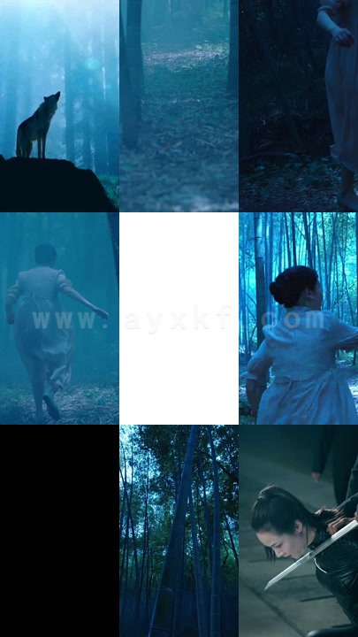 9-镇北天王(87集)