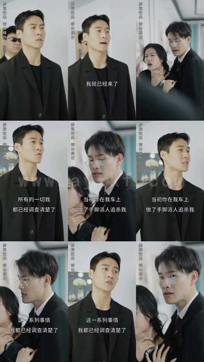 1281-我成了失忆霸总的心尖宠(100集)