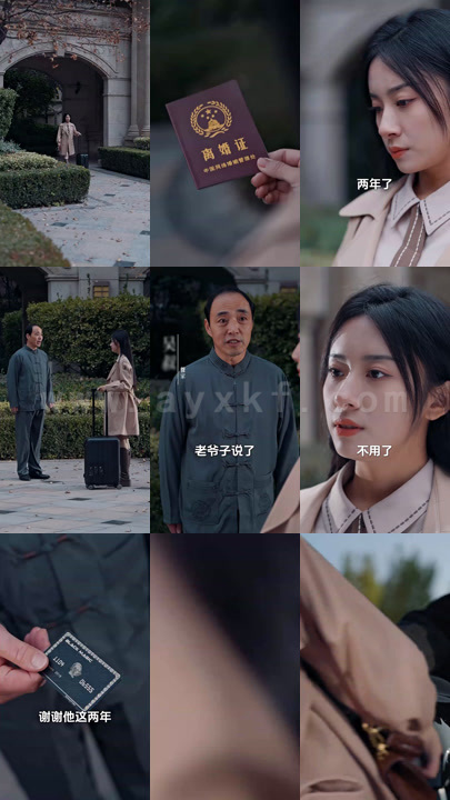 9-离婚后前夫求复婚(96集)