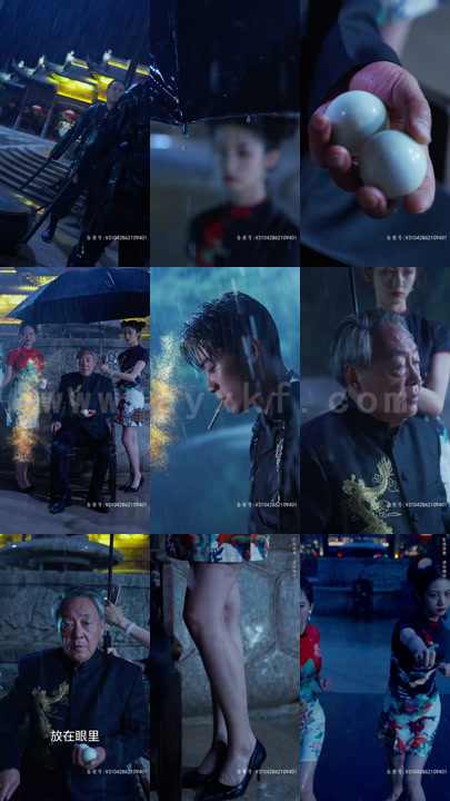 2578-枭龙在世(100集) 最新 图1张