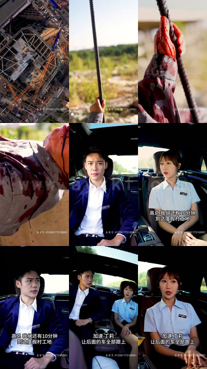 8-首富回村(101集)