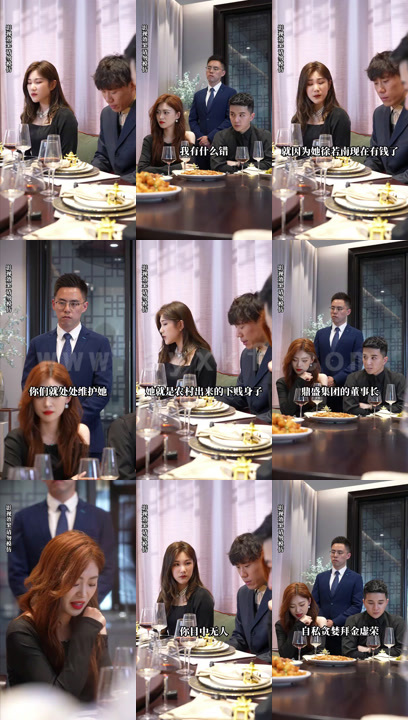 1112-美女总裁衣锦还乡(100集) 最新 图1张