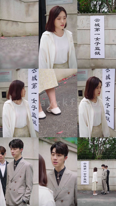 1484-罪妻出狱后-沈总下跪求复合(103集)