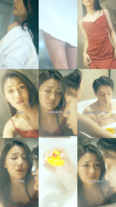 12-护国战婿99集全