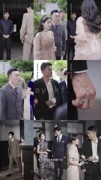 1174-报告少帅-夫人有危险(99集)