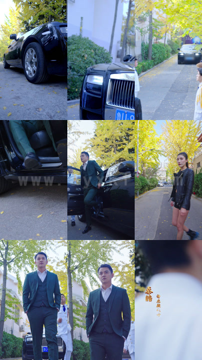 战尊出狱（合集）