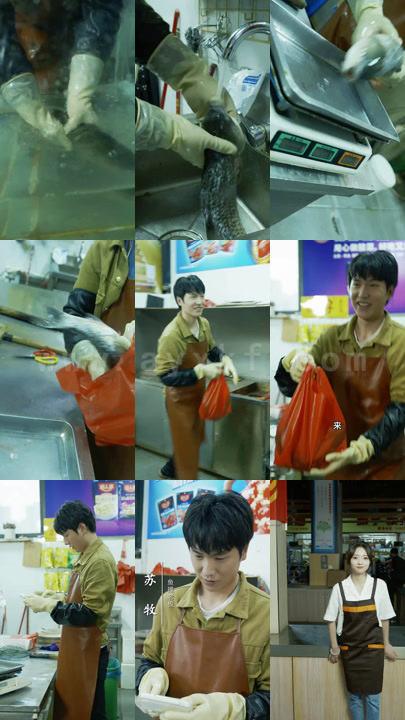 1352-崛起之鱼贩人生-狂飙之从卖鱼开始-(100集) 内容图1 一个实时收录全网最齐全的短视频短剧网剧小剧场的网站! 1352-崛起之鱼贩人生-狂飙之从卖鱼开始-(100集) 最新 图1张