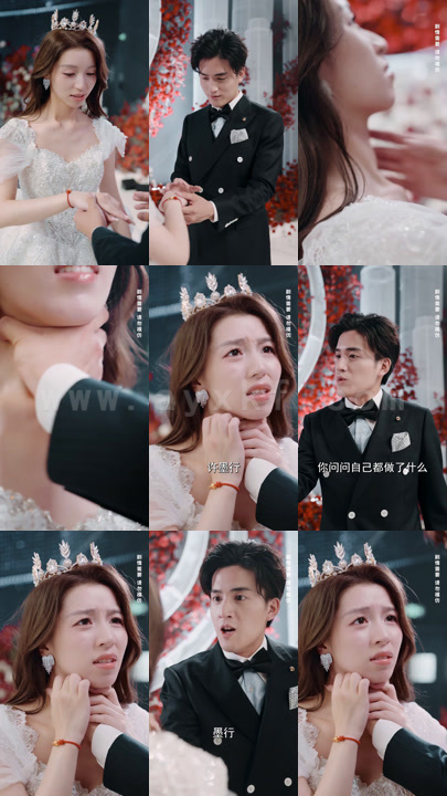 1625-许总的天价罪妻(95集)