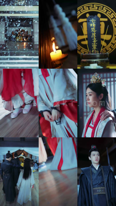 1591-弃妃难宠王爷请赐教(99集)