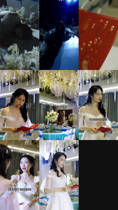 1078-莫少的重生小狂妻(100集)