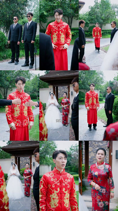 天师神婿（合集款）