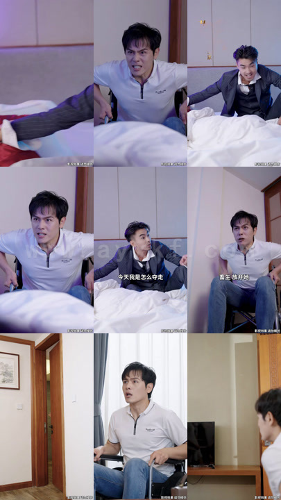 一世强龙合集款 最新 图1张