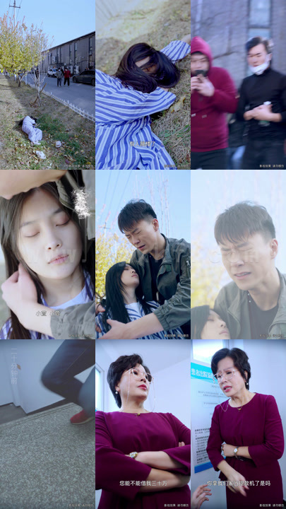 1303-医婿当道(87集)