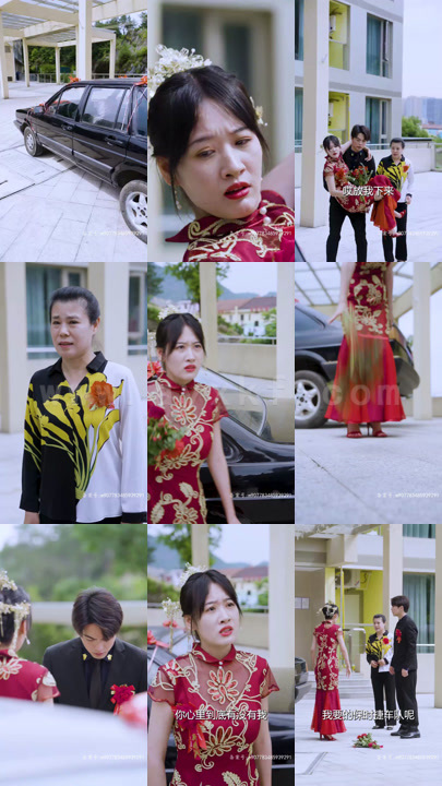 ssd4496-我是都市保镖大佬-腹黑逆袭之路(都市神级保安)(92集)