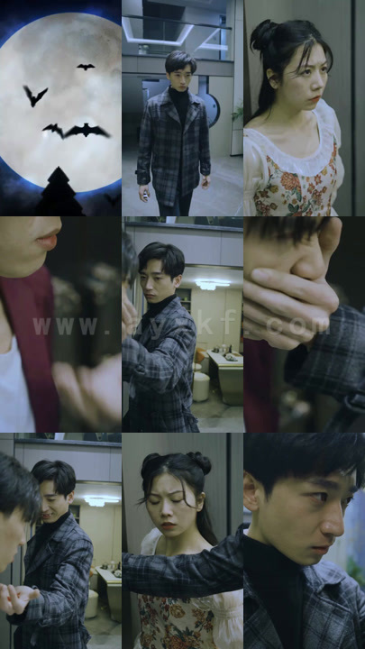 1240-我的吸血鬼房东(60集) 最新 图1张