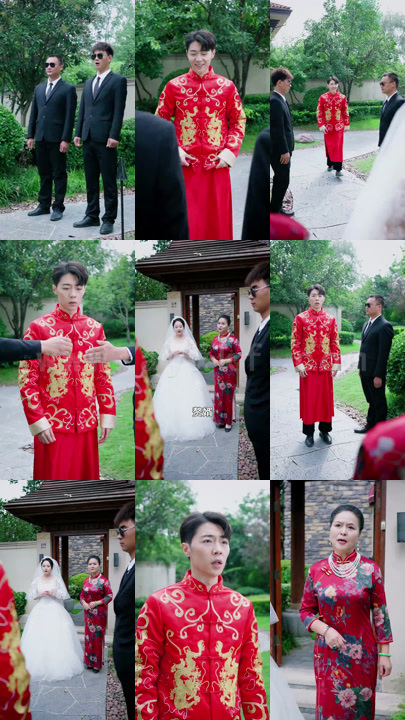 天师神婿（全集完整版版）