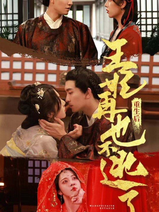 14-重生后王妃再也不逃了-81集