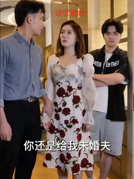 ssd4773-12护花强龙(90集)