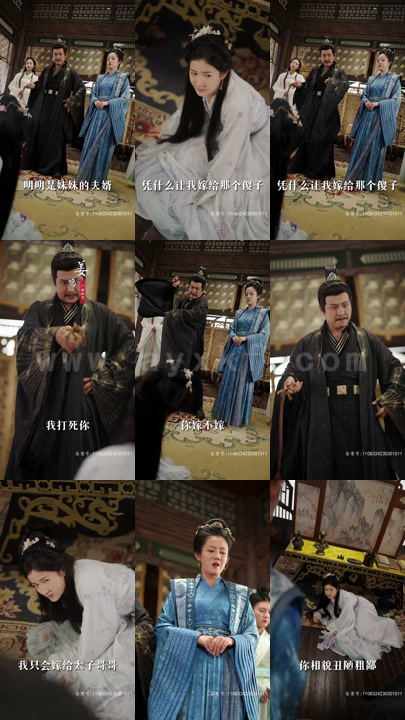 4-傻王丑妃(98集)