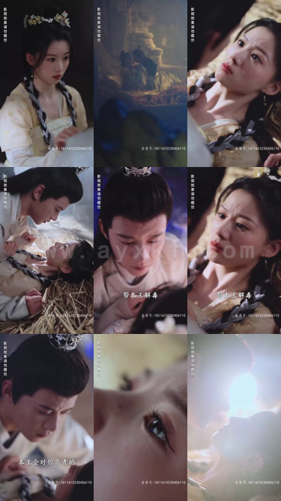 23-错嫁王妃王爷的心尖宠(93集)